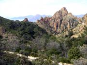 Piana