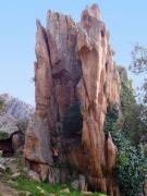 Piana