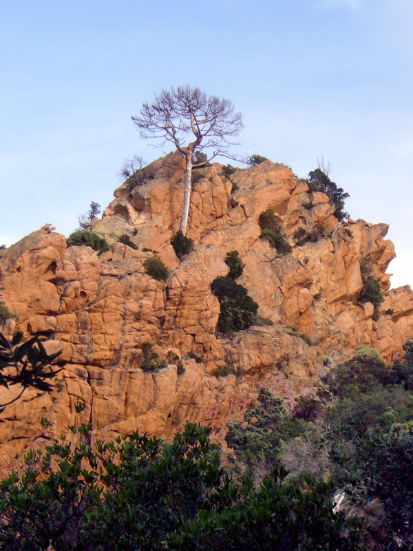 Piana