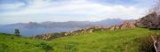 pano2