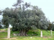 Filitosa
