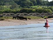 au bord d'un loch de mer