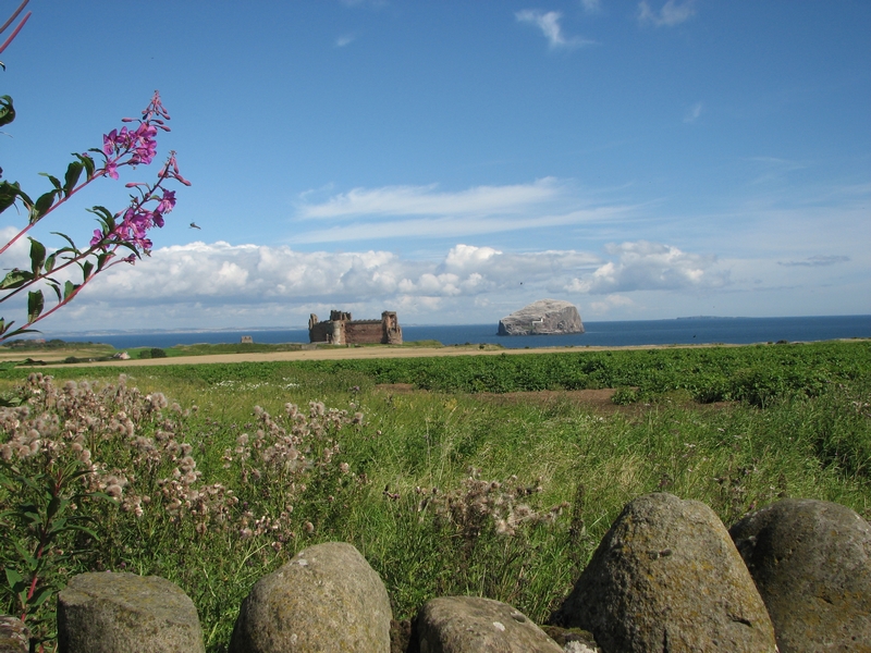 l ile aux oiseaux cote est