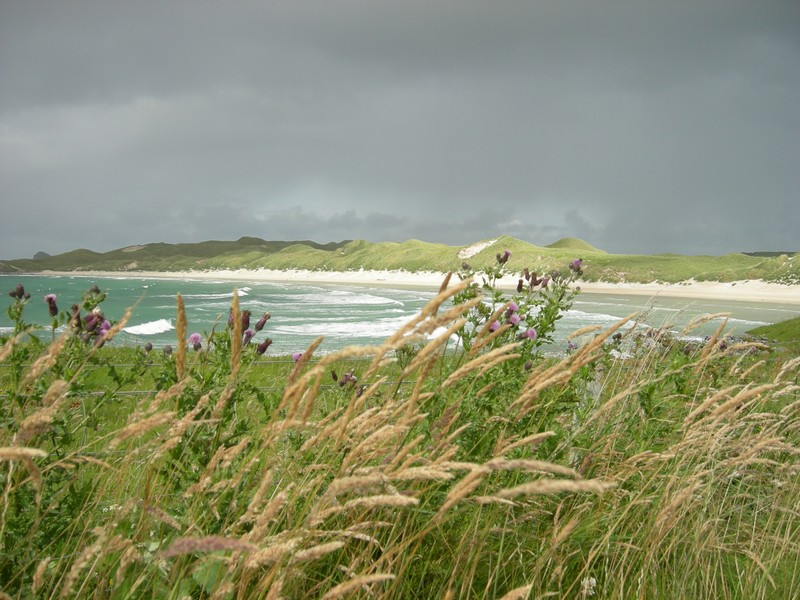 Sandwoodbay -