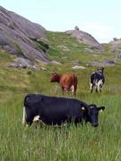 vers Egersund