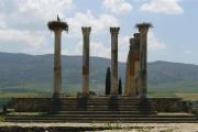 Volubilis