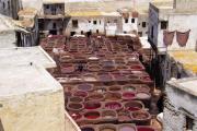 dans la tannerie de Fez