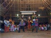 Sadanaforest