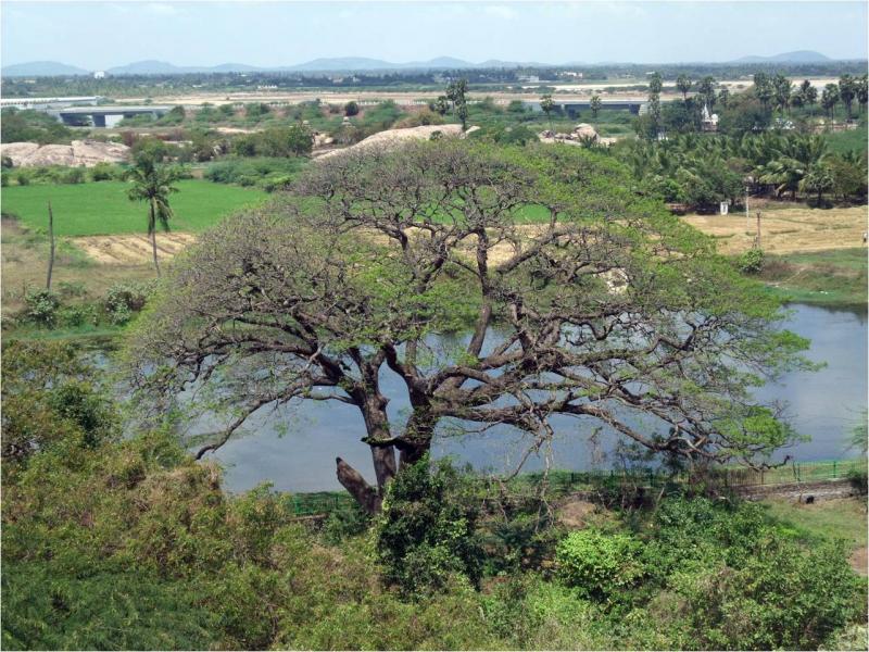 Mahaballipuram
