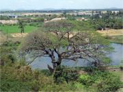 Mahaballipuram