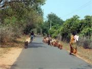Kulapalayam