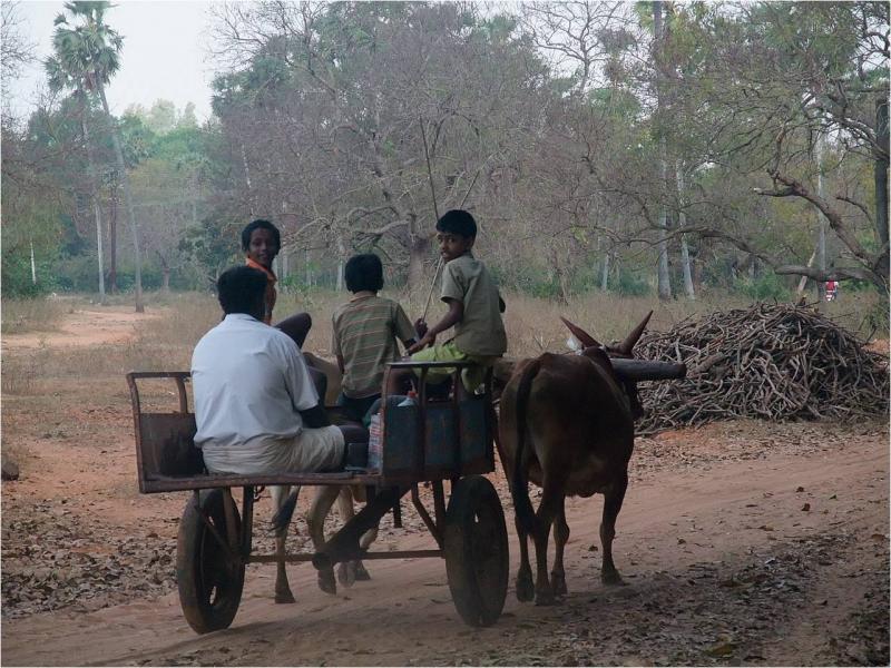 Kulapalayam
