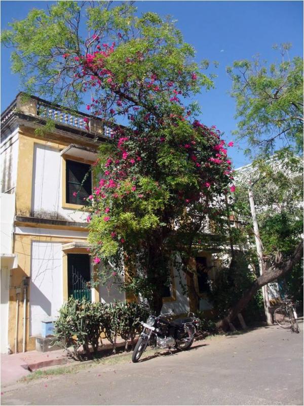 Pondichery