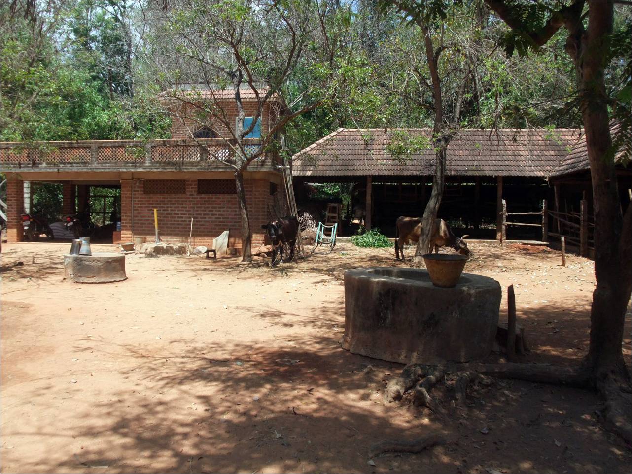 Pitchandikulam