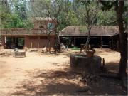 Pitchandikulam