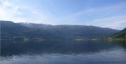 Voss