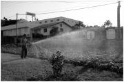 Arrosage des hauts