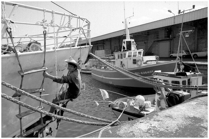 Le Port