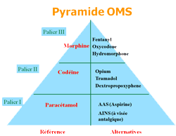 Pyramide de l'Organisation Mondiale de la Santé qui classe les analgésiques en fonction de l'intensité des douleurs : palier1=faible à modérée, palier2=douleur forte, palier3=douleur très intense